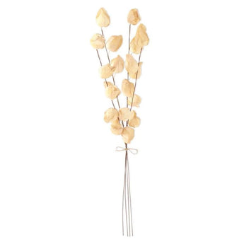 28" Chinese Lantern Bundle - Cream