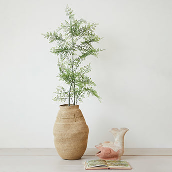 Terracotta Fish Shaped Container on the floor next to a tree in a woven basket. 