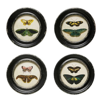 Framed Wall Decor with Moths/Butterflies Image