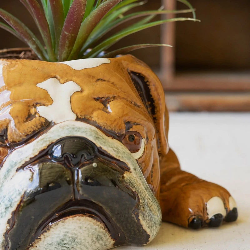 Ceramic Bulldog Planter holding a succulent