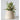 Decorative Handmade Paper Mache Container holding an artificial plant. 